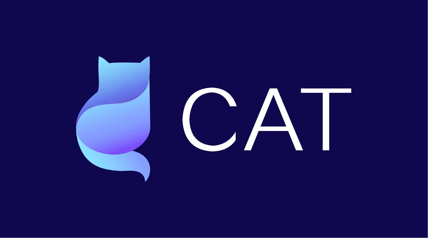 springboot项目接入cat